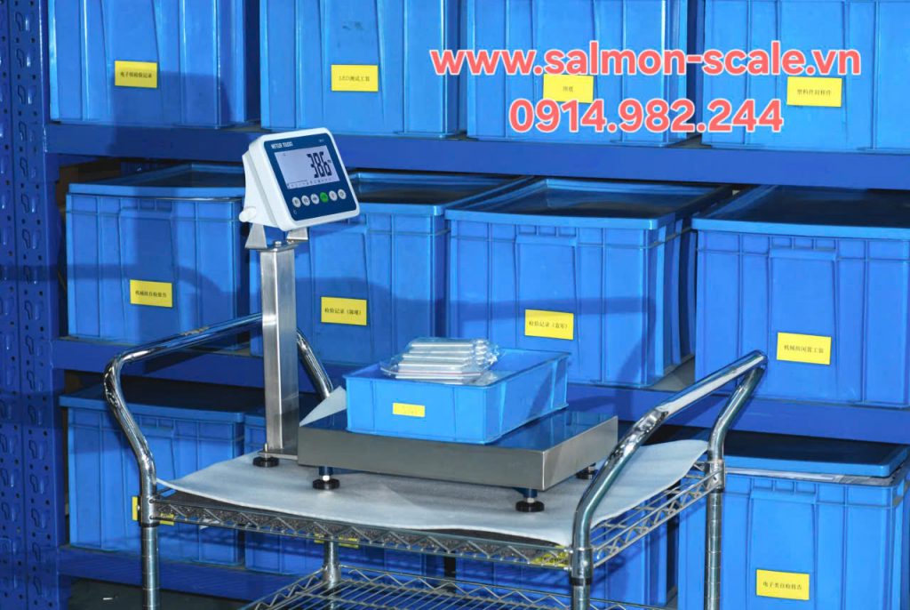 Màn hình cân IND231 lắp đặt cân bàn